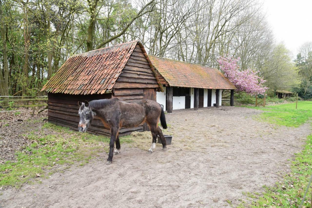B&B Domein Rodin Oud-Turnhout Eksteriør billede