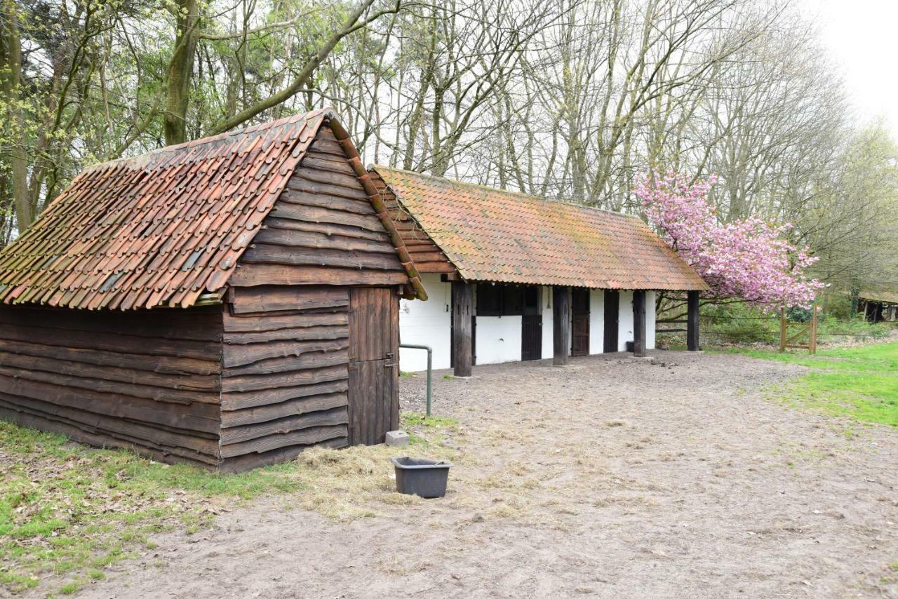 B&B Domein Rodin Oud-Turnhout Eksteriør billede
